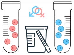 Baby Gender Prediction Test